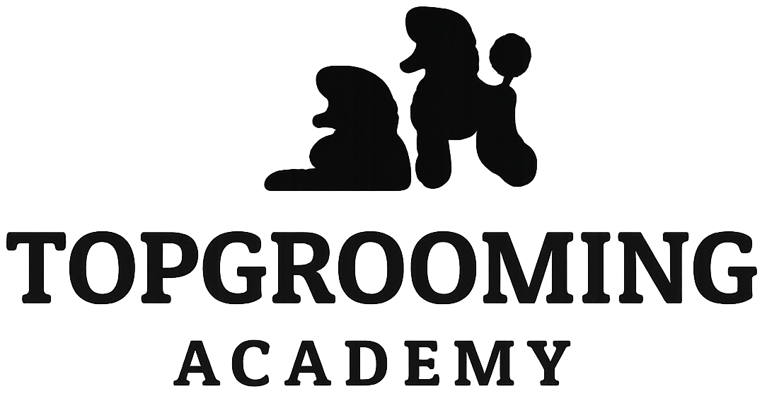 화곡탑애견미용학원